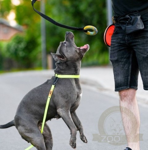 Dingo Zabawka dla psa - Szarpak Ringo z rączką bungee 10cm Dingo Zabawka dla psa - Szarpak Ringo z rączką bungee 10cm