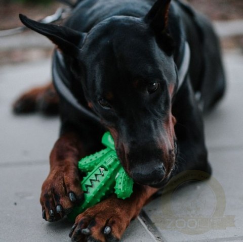 Dingo Zabawka dla psa - Twarda guma TPR - Kaktus 15cm