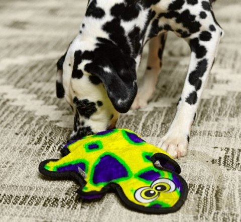 Outward Hound Invincibles Gecko green 2 piszczałki [32070]