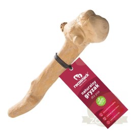 RECOSNACK Patyk Z Drzewa Kawowego M