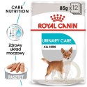 ROYAL CANIN CCN Urinary Care pasztet 12x85g