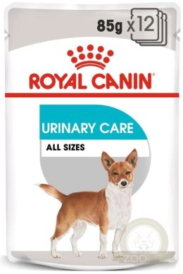 ROYAL CANIN CCN Urinary Care pasztet 12x85g
