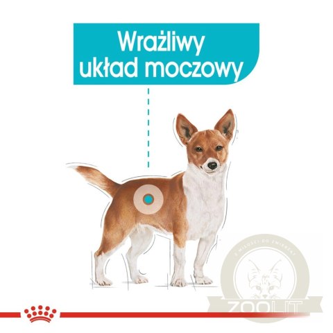 ROYAL CANIN CCN Urinary Care pasztet 12x85g