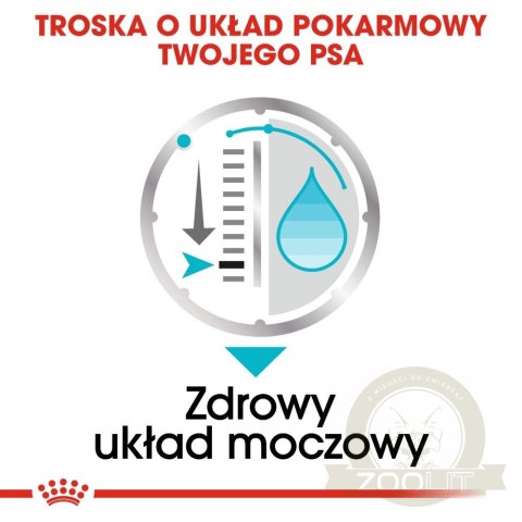 ROYAL CANIN CCN Urinary Care pasztet 12x85g