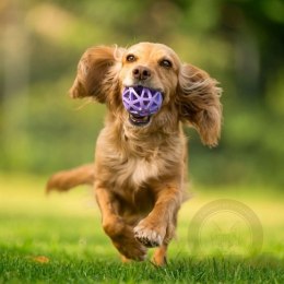 Toby's Choice Spiderweb Ball Small [TC10026]
