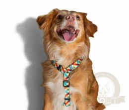 ZEE DOG Szelki H Phantom M