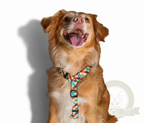 ZEE DOG Szelki H Phantom M ZEE DOG Szelki H Phantom M