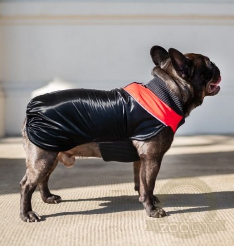 Chaba Ubranko regulowane Wear Magnifique 2XL czerwone