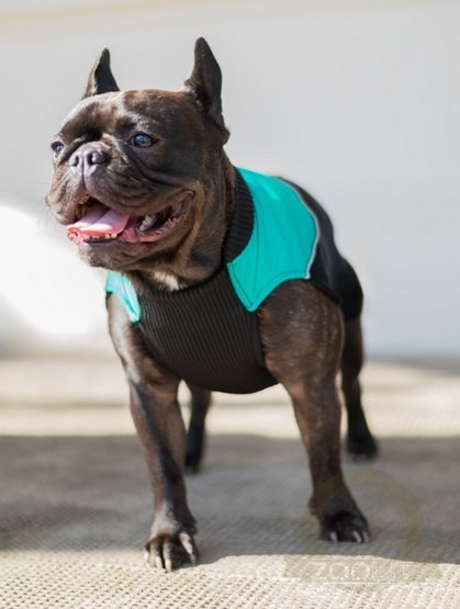 Chaba Ubranko regulowane Wear Magnifique XL zielone