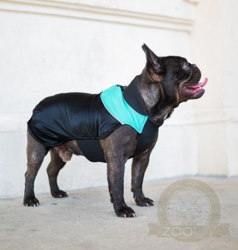 Chaba Ubranko regulowane Wear Magnifique XL zielone