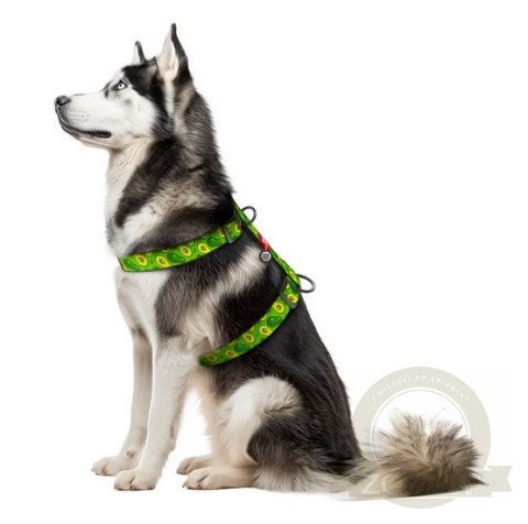 Collar WauDog Nylon Szelki nylonowe anatomiczne w kształcie litery H, z QR-paszportem, plastikowy fastex, wzór AWOKADO, rozmiar 