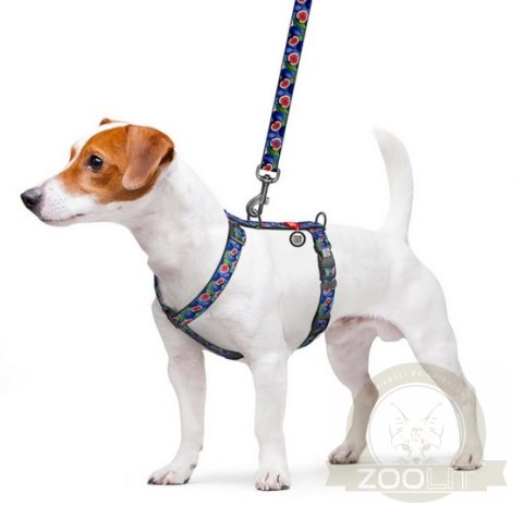 Collar WauDog Nylon Szelki nylonowe anatomiczne w kształcie litery H, z QR-paszportem, plastikowy fastex, wzór FIGA, rozmiar M 2