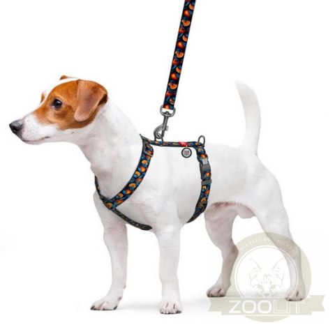 Collar WauDog Nylon Szelki nylonowe anatomiczne w kształcie litery H, z QR-paszportem, plastikowy fastex, wzór POMARAŃCZE, rozmi