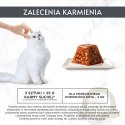 GOURMET Revelations Delikatne Kawałki w Galaretce z Kurczakiem 2x57g