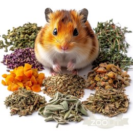 Herbal Pets - Zioła podstawowe dla chomika 100g