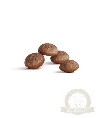 Royal Canin Ageing +11 Sterilised karma sucha dla kotów dojrzałych, sterylizowanych 2kg