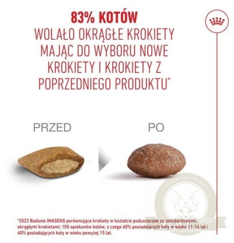 Royal Canin Ageing +11 karma sucha dla kotów dojrzałych 2kg Royal Canin Ageing +11 karma sucha dla kotów dojrzałych 2kg