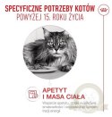 Royal Canin Ageing +15 karma sucha dla kotów dojrzałych 2kg