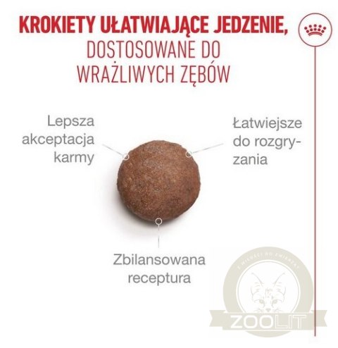 Royal Canin Ageing +15 karma sucha dla kotów dojrzałych 2kg