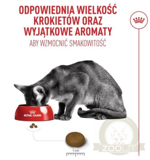 Royal Canin Fussy Exigent karma sucha dla kotów dorosłych, wybrednych 2kg