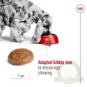 Royal Canin Medium Adult 7+ karma sucha dla psów dorosłych, ras średnich 15kg