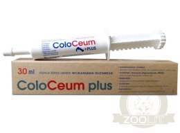 ScanVet Coloceum Plus pasta na biegunkę dla psów i kotów tuba 30ml