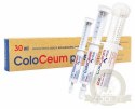 ScanVet Coloceum Plus pasta na biegunkę dla psów i kotów tuba 30ml