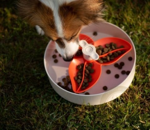 Spin Interaktywna miska Flower/Spin biało-pomarańczowa