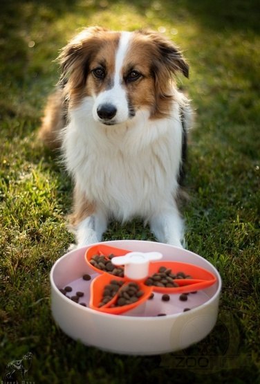 Spin Interaktywna miska Flower/Spin biało-pomarańczowa