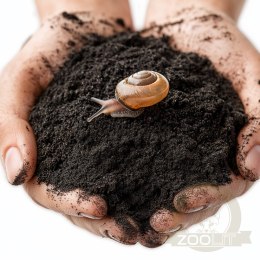 Aventerra Sweden Achanti Snail 2l - podłoże dla ślimaków