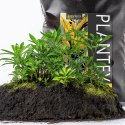 Aventerra Sweden Plantey 4l - podłoże pod rośliny tropikalne