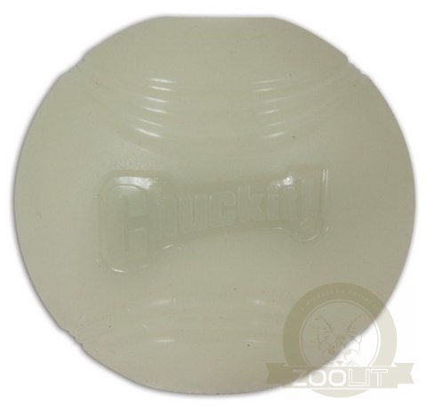 Chuckit! Max Glow Ball Medium [32313]