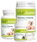 Dolfos Dolvit Junior Mini 90 Tabletek
