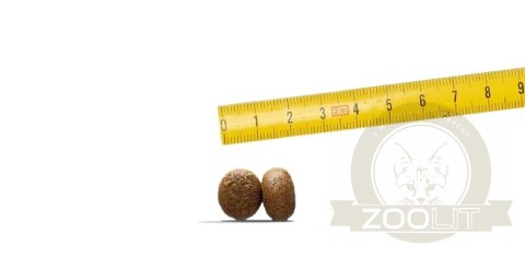 JOSERA YoungStar - Grain Free 12,5kg