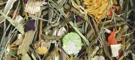 KORONA NATURY Natural-Vit Pokarm Dla Koszatniczki 750g