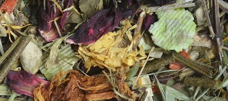 KORONA NATURY Natural-Vit Pokarm Dla Szynszyli 750g