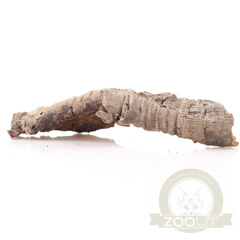 Kora z Dębu Korkowego XXL - na wagę