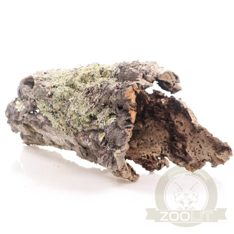 Kora z Dębu Korkowego XXL - na wagę