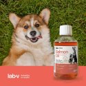 Lab-V Olej Z Łososia 100% Dla Psa I Kota W Każdym Wieku 250ml