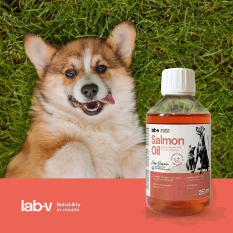Lab-V Olej Z Łososia 100% Dla Psa I Kota W Każdym Wieku 250ml