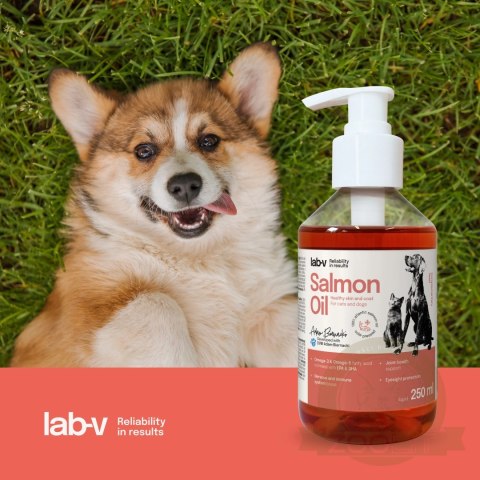 Lab-V Olej Z Łososia 100% Dla Psa I Kota W Każdym Wieku 250ml