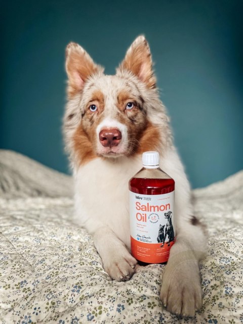 Lab-V Olej Z Łososia Dla Psów I Kotów 500ml