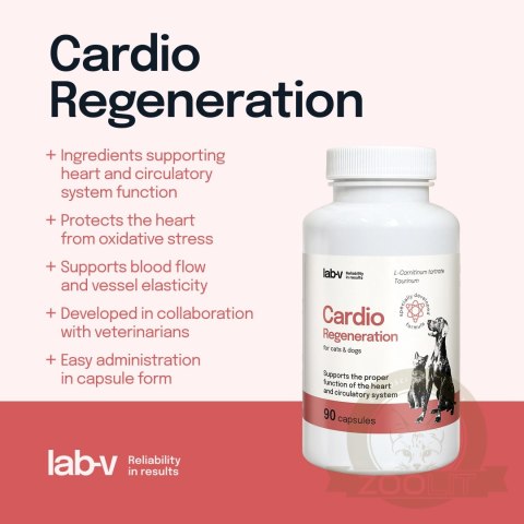Lab-v Cardio Regeneration 90 kapsułek - wsparcie serca dla psów i kotów