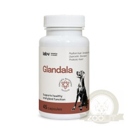 Lab-v Glandala Wsparcie Gruczołów Okołoodbytowych i Przewodu Pokarmowego 45 Kapsułek