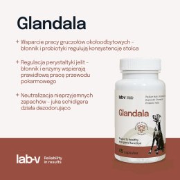 Lab-v Glandala Wsparcie Gruczołów Okołoodbytowych i Przewodu Pokarmowego 45 Kapsułek