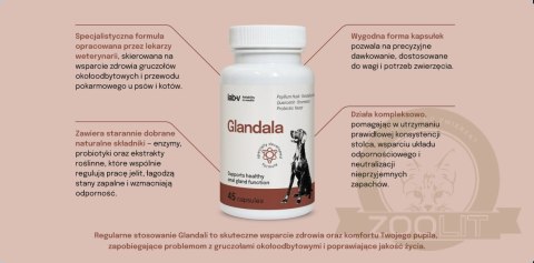 Lab-v Glandala Wsparcie Gruczołów Okołoodbytowych i Przewodu Pokarmowego 45 Kapsułek