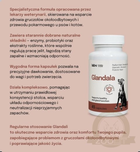 Lab-v Glandala Wsparcie Gruczołów Okołoodbytowych i Przewodu Pokarmowego 45 Kapsułek