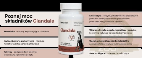 Lab-v Glandala Wsparcie Gruczołów Okołoodbytowych i Przewodu Pokarmowego 45 Kapsułek