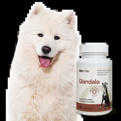 Lab-v Glandala Wsparcie Gruczołów Okołoodbytowych i Przewodu Pokarmowego 45 Kapsułek