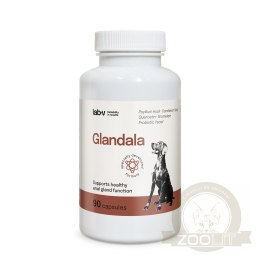 Lab-v Glandala Wsparcie Gruczołów Okołoodbytowych i Przewodu Pokarmowego 90 Kapsułek